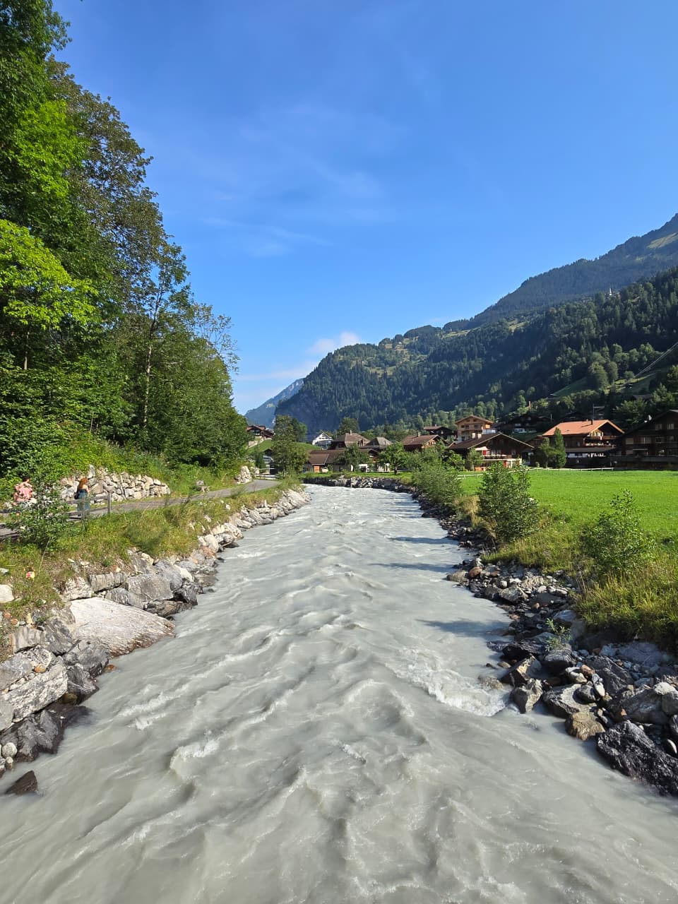 Alpine river running past chalets and green meadows in the Swiss valley